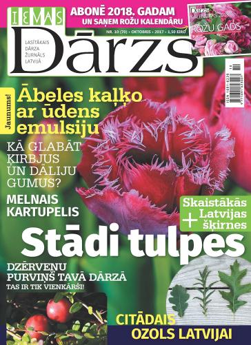 IEVAS DĀRZS Nr. 10 2017