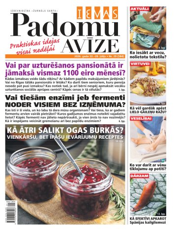 IEVAS PADOMU AVĪZE Nr. 29 2026