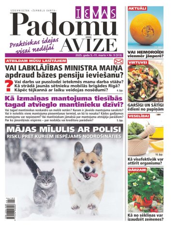 IEVAS PADOMU AVĪZE Nr. 9 2025