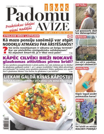 IEVAS PADOMU AVĪZE Nr. 13 2025