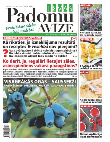 IEVAS PADOMU AVĪZE Nr. 20 2025