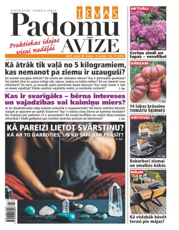 IEVAS PADOMU AVĪZE Nr. 21 2025