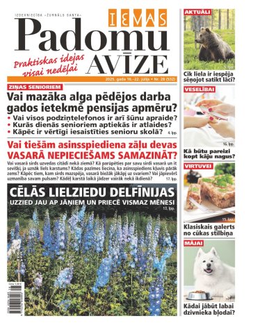 IEVAS PADOMU AVĪZE Nr. 28 2025