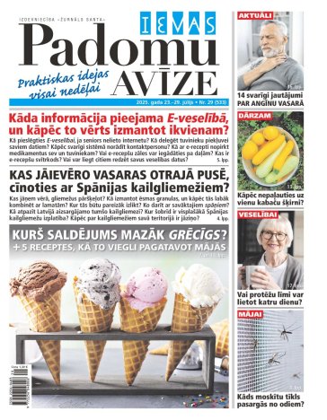 IEVAS PADOMU AVĪZE Nr. 29 2025
