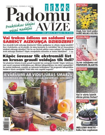 IEVAS PADOMU AVĪZE Nr. 31 2025