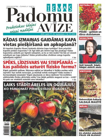 IEVAS PADOMU AVĪZE Nr. 37 2025