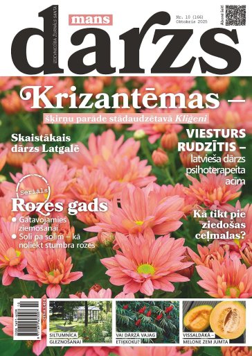 MANS DĀRZS Nr. 10 2025