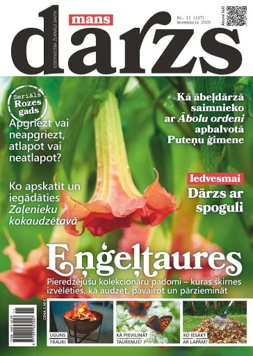 MANS DĀRZS Nr. 11 2025