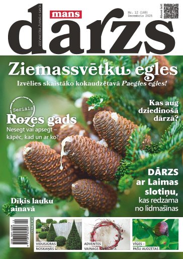 MANS DĀRZS Nr. 12 2025