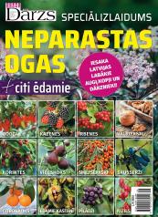  NEPARASTAS OGAS 2021