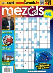 MEZGLS Nr. 8