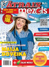 ĀTRAIS MEZGLS Nr. 3