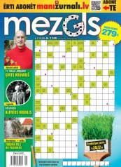 MEZGLS Nr. 9