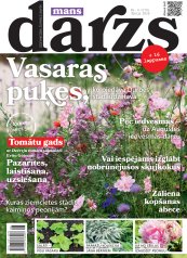 MANS DĀRZS Nr. 6