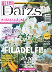 IEVAS DĀRZS Nr. 6