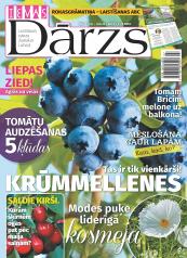 IEVAS DĀRZS Nr. 7