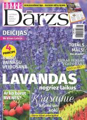 IEVAS DĀRZS Nr. 8