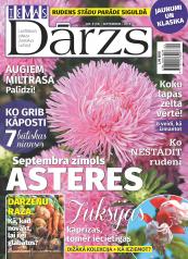 IEVAS DĀRZS Nr. 9