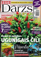 IEVAS DĀRZS Nr. 12