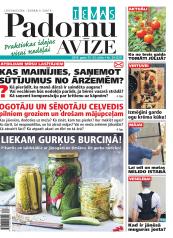 IEVAS PADOMU AVĪZE Nr. 29