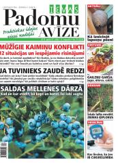 IEVAS PADOMU AVĪZE Nr. 31