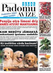 IEVAS PADOMU AVĪZE Nr. 45