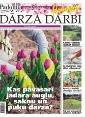  PAVASARA DARBI DĀRZĀ 2024