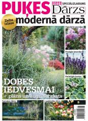 PUĶES MODERNĀ DĀRZĀ 2020