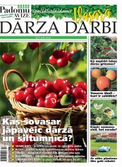  VASARAS DARBI DĀRZĀ 2023