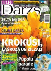 IEVAS DĀRZS Nr. 3