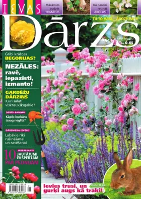 IEVAS DĀRZS — Nr. 4