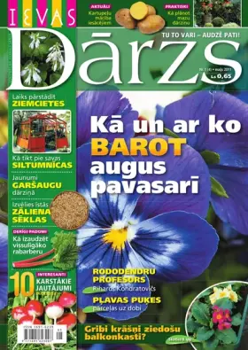 IEVAS DĀRZS — Nr. 1