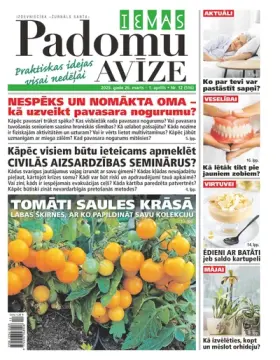 IEVAS PADOMU AVĪZE — Nr. 12