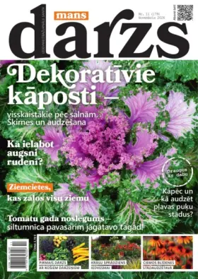 MANS DĀRZS — Nr. 11