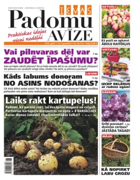 IEVAS PADOMU AVĪZE — Nr. 36