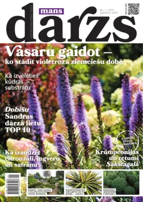 MANS DĀRZS — Nr. 01