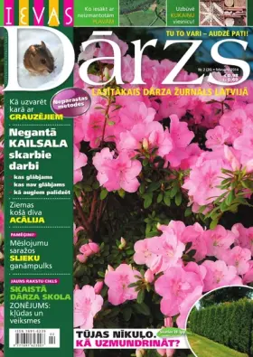 IEVAS DĀRZS — Nr. 02