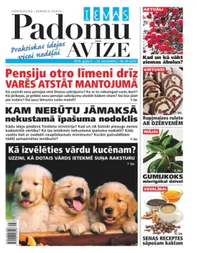 IEVAS PADOMU AVĪZE — Nr. 45