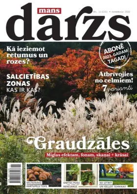 MANS DĀRZS — Nr. 11