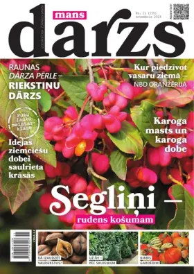 MANS DĀRZS — Nr. 11