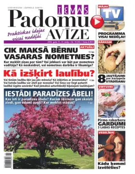 IEVAS PADOMU AVĪZE — Nr. 19