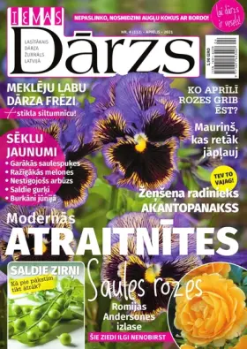 IEVAS DĀRZS — Nr. 04