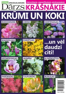 Krāšņākie Košumkrūmi