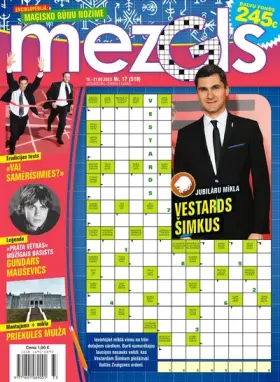 MEZGLS — Nr. 17