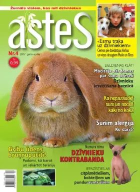 ASTES 2007.04 — Nr. 04