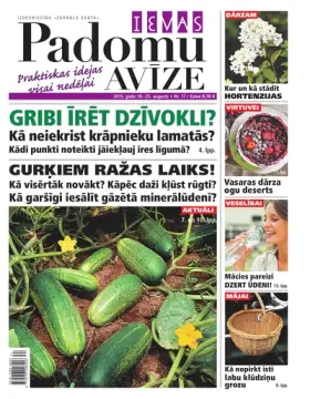 IEVAS PADOMU AVĪZE — Nr. 17