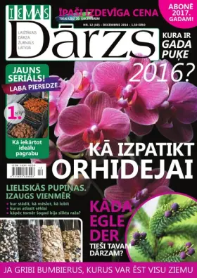 IEVAS DĀRZS — Nr. 12