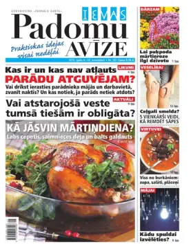 IEVAS PADOMU AVĪZE — Nr. 28
