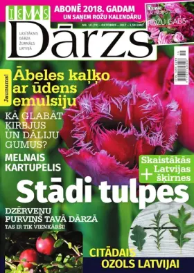 IEVAS DĀRZS — Nr. 10