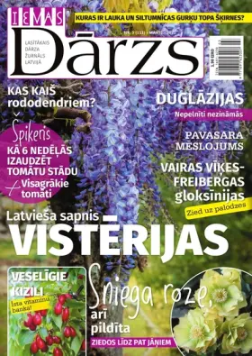 IEVAS DĀRZS — Nr. 03
